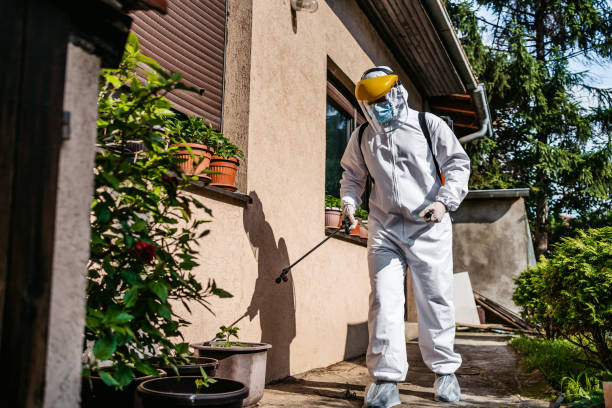 Best Best Pest Control Companies  in Mount Zion, IL