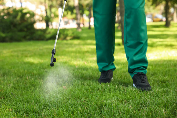 Best Best Pest Control Companies  in Mount Zion, IL